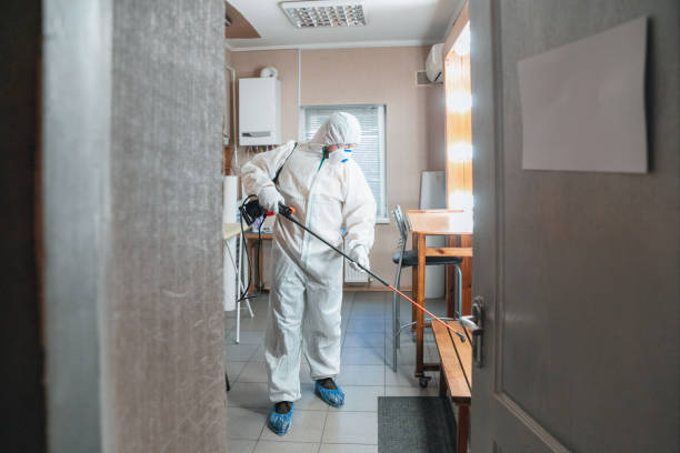 Best Industrial Mold Remediation  in Rochester, NH