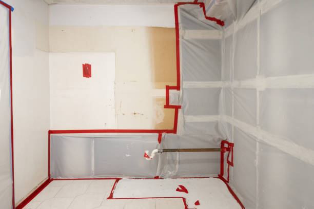 Professional Mold Inspection, Removal & Remediation in Rochester, NH